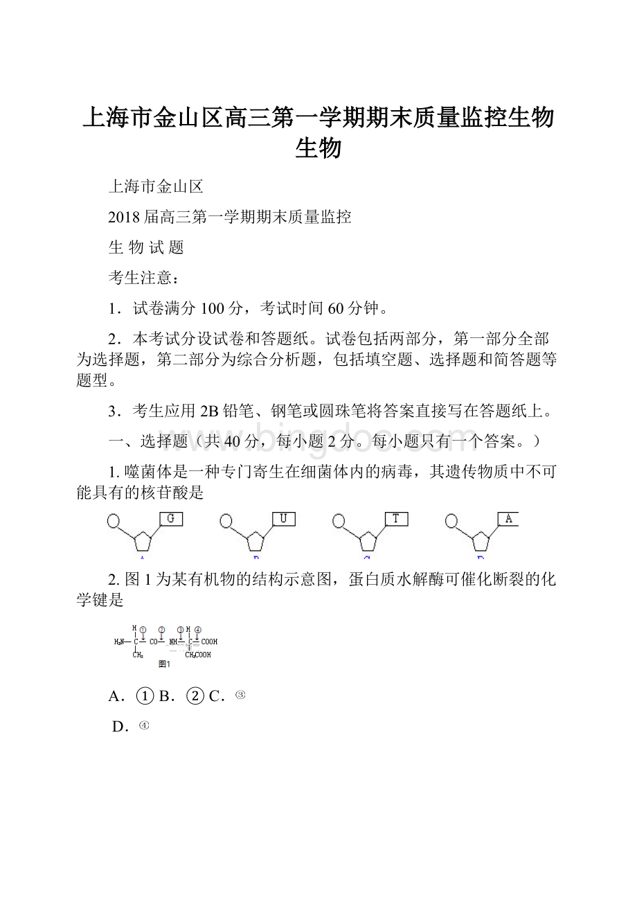 上海市金山区高三第一学期期末质量监控生物生物.docx