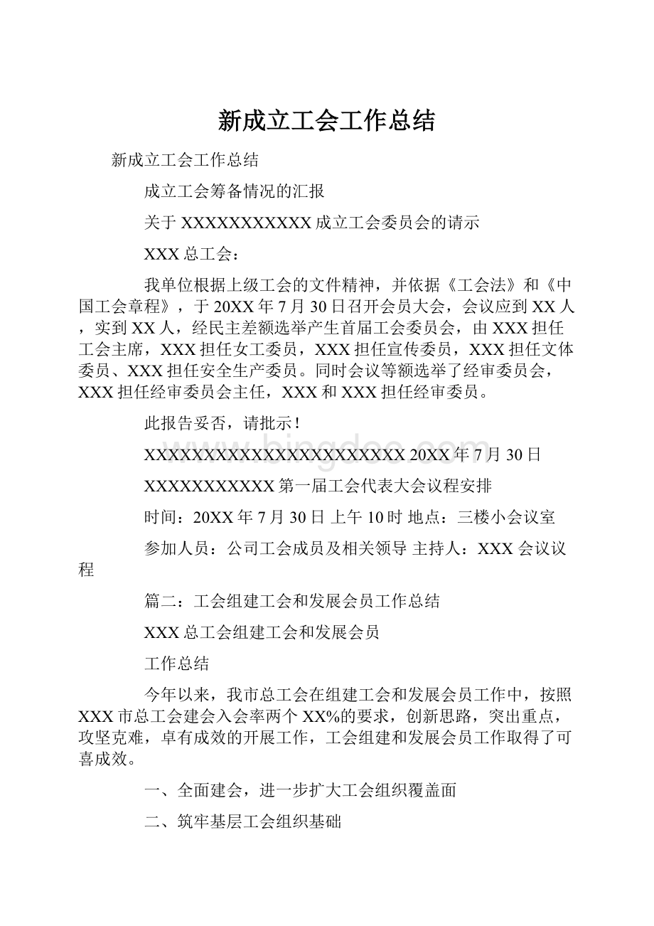 新成立工会工作总结.docx