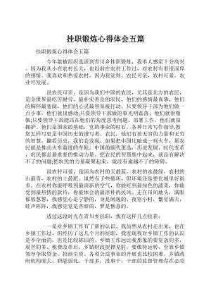 挂职锻炼心得体会五篇.docx