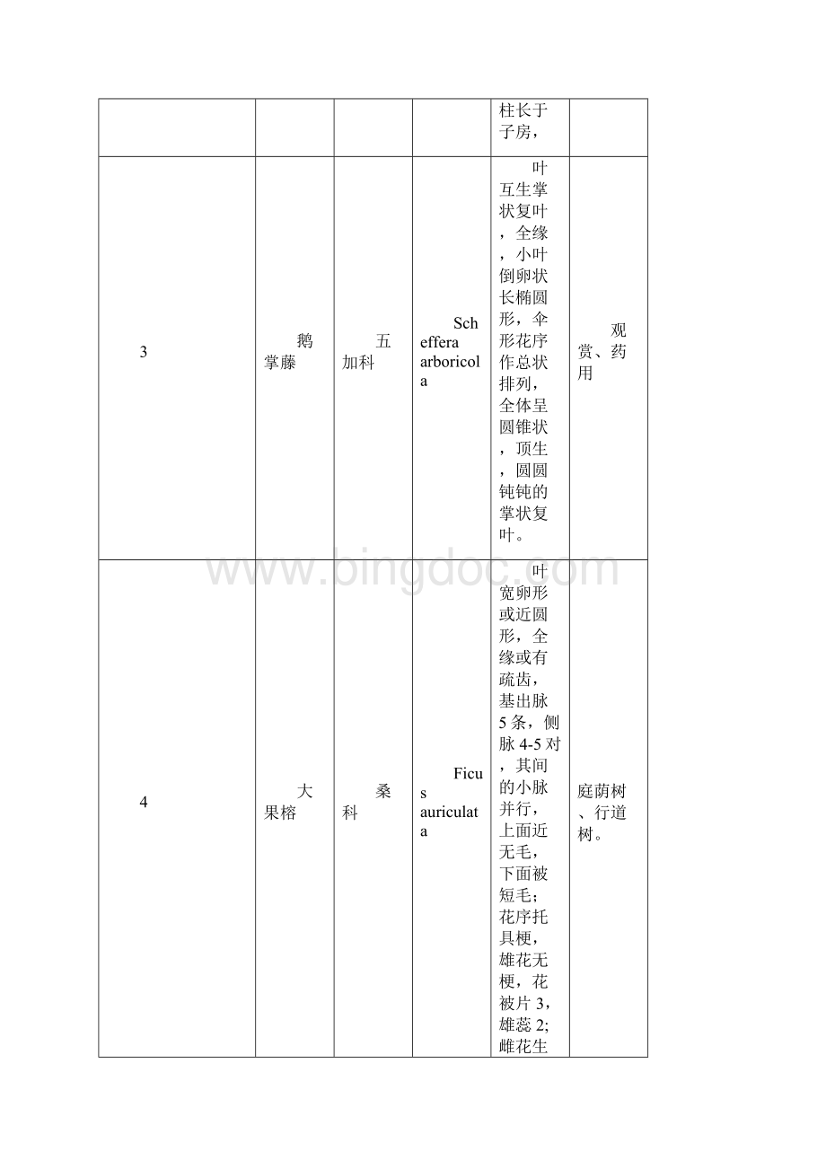 树木学实习报告.docx_第3页