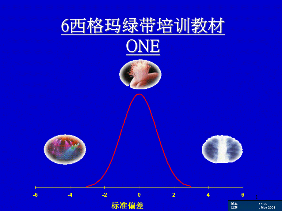 6西格玛绿带培训教材(PPT 217页).pptx_第1页