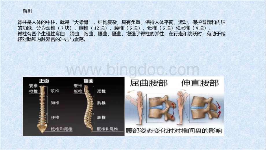 腰椎间盘突出疑难病例讨论.pptx_第3页