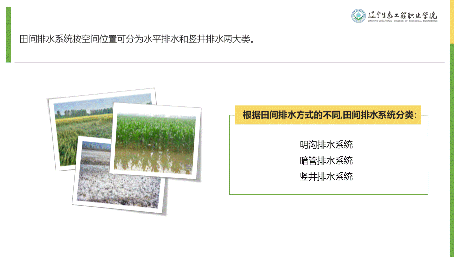 大学课程《灌溉排水工程技术》PPT教学课件：田间排水系统的布置.pptx_第3页